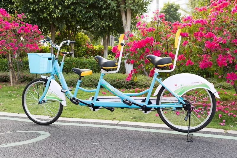 拔草厦门,厦门帆船酒店观景