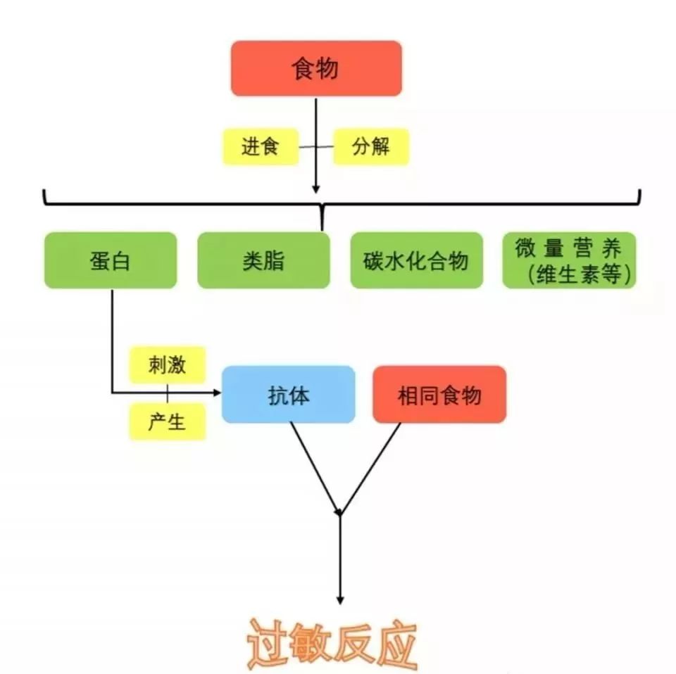 咬了一口水蜜桃,咬了一口的水蜜桃