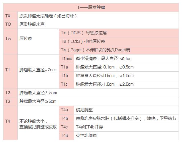 火速收藏视频大全,乳腺癌的冰冻病理报告单
