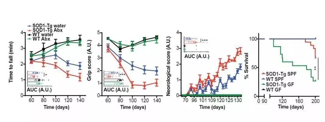 akk益生菌有什么功效,万能益生菌效果怎么样