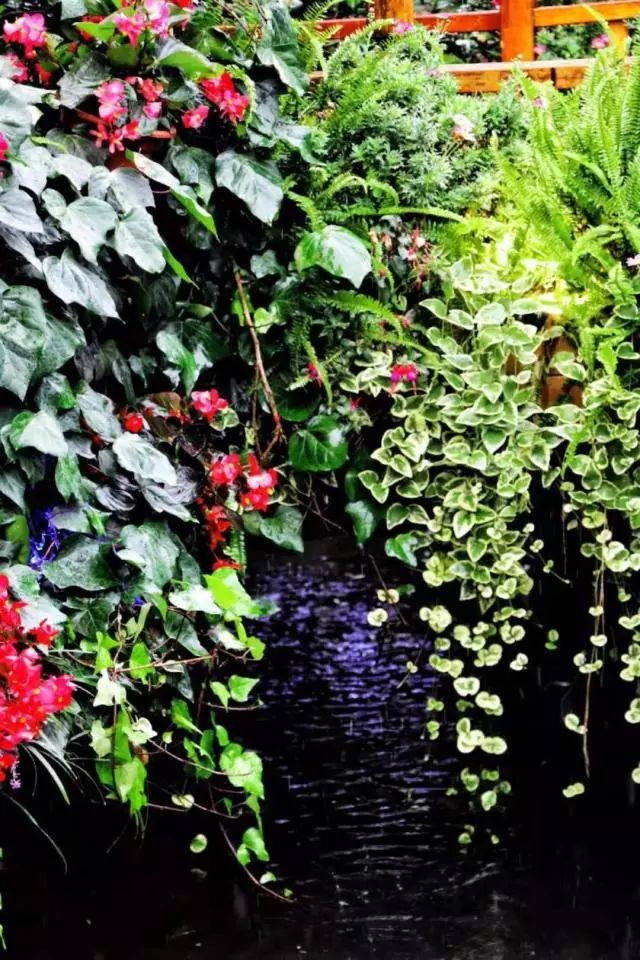 雨天丽江古城旅游攻略,来丽江看雨中的丽江古城