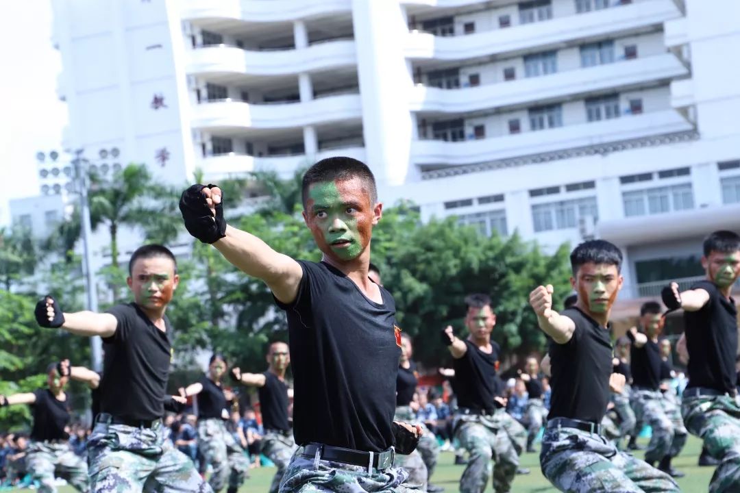 海南城市职业技术学院招生简章,2024海南职业技术学院招生简章