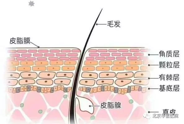 皮肤出现瘙痒是身体有问题吗,皮肤瘙痒可能会预示哪种疾病