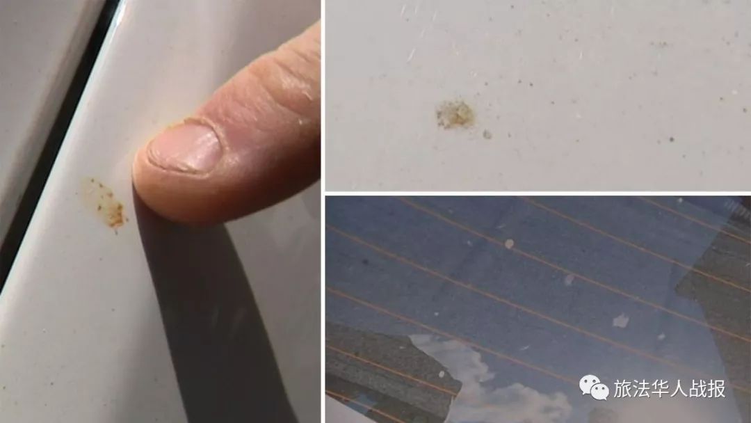 「环保」法国北部惊现“油雨”污染罪魁祸首是比利时炸薯条？