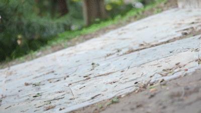 慢跑鞋缓震科技,回力鞋底黑科技