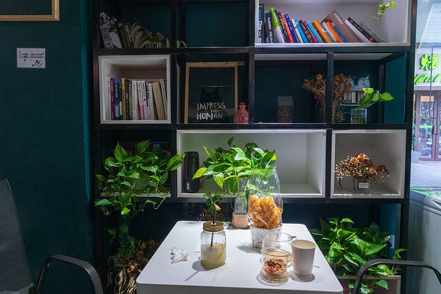 张家界魅力湘西春节自由行,张家界魅力湘西打卡第一天