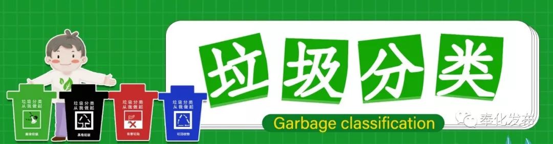 第三届海洋运动会开赛,舟山海洋运动会定向挑战赛