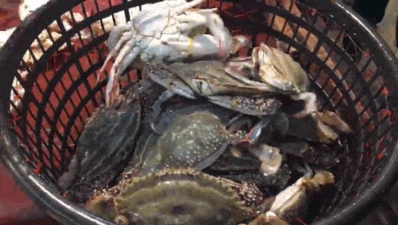 舟山梭子蟹便宜到8块,舟山吃梭子蟹多少一斤