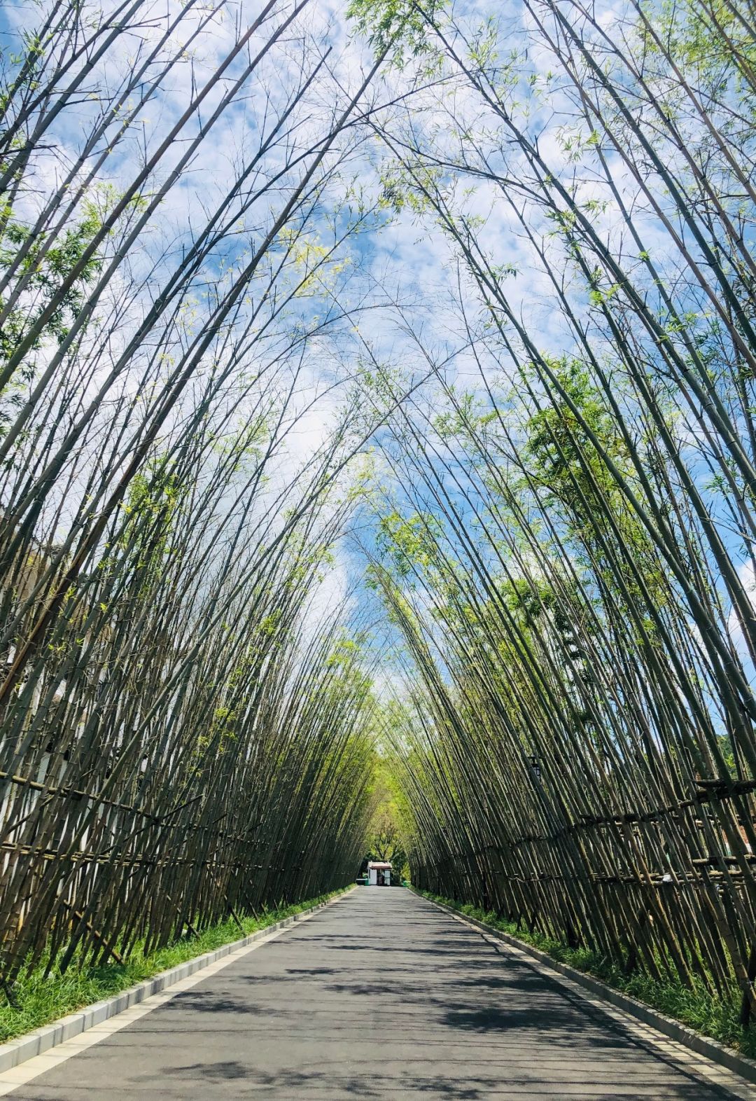 婺源豪华酒店,婺源绝美酒店