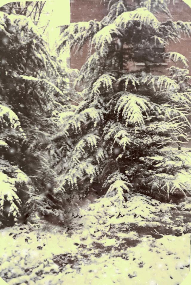 这150组情侣写完美诠释青梅竹马的爱情,网友直呼太可爱!