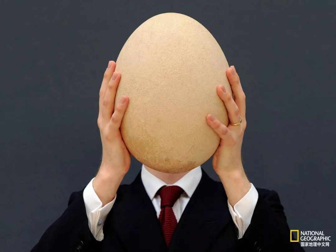 钻石本来不值钱 (假如钻石不值钱了)