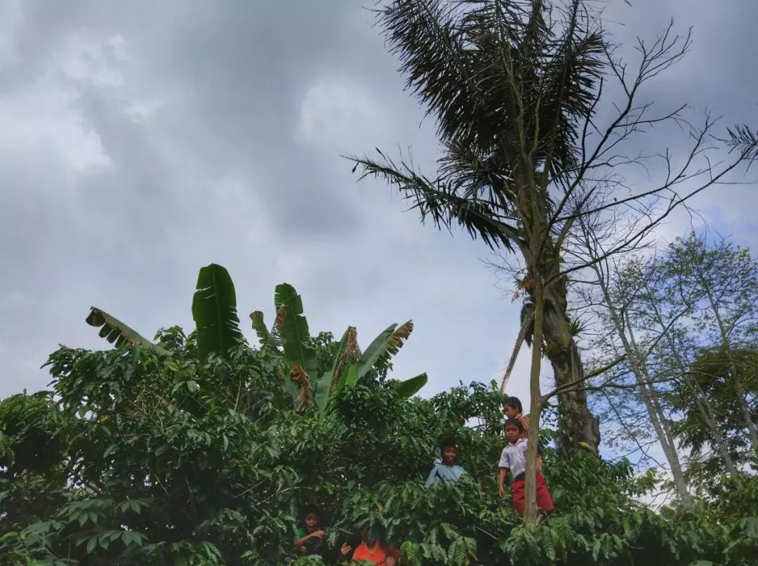 印度尼西亚和印度区别,你不知道的印度尼西亚