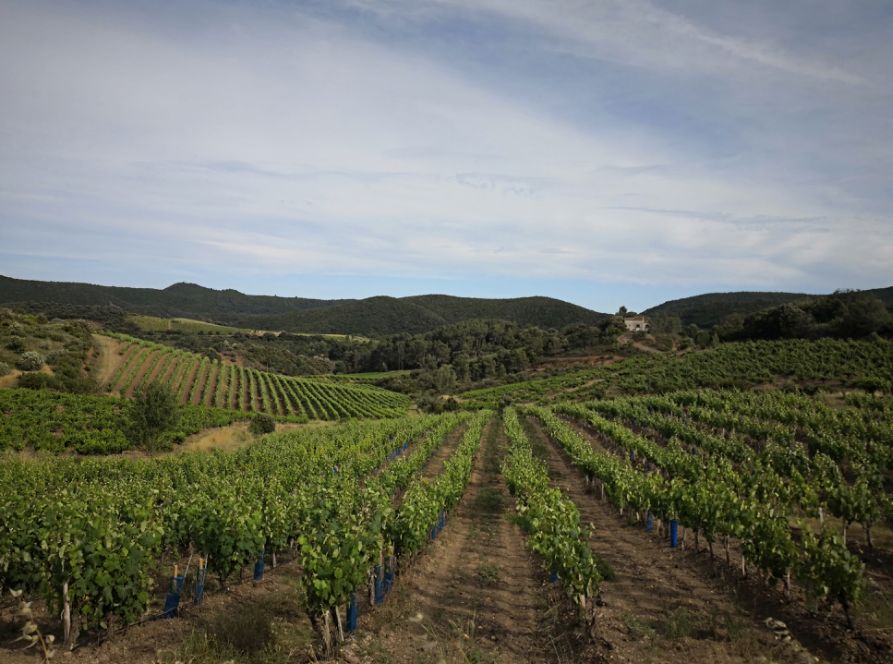 腰酸背痛、肩颈酸乏、肌肉疲劳？德国人有个家喻户晓的妙招||Chin@美物