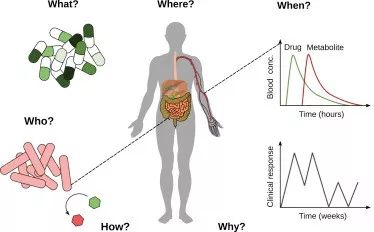 cell子刊biology,cell子刊文章