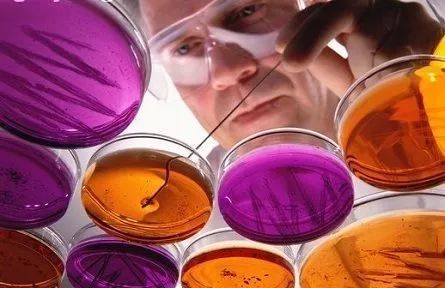 c反应蛋白crp高说明什么怎样用药,C反应蛋白CRP高是什么意思