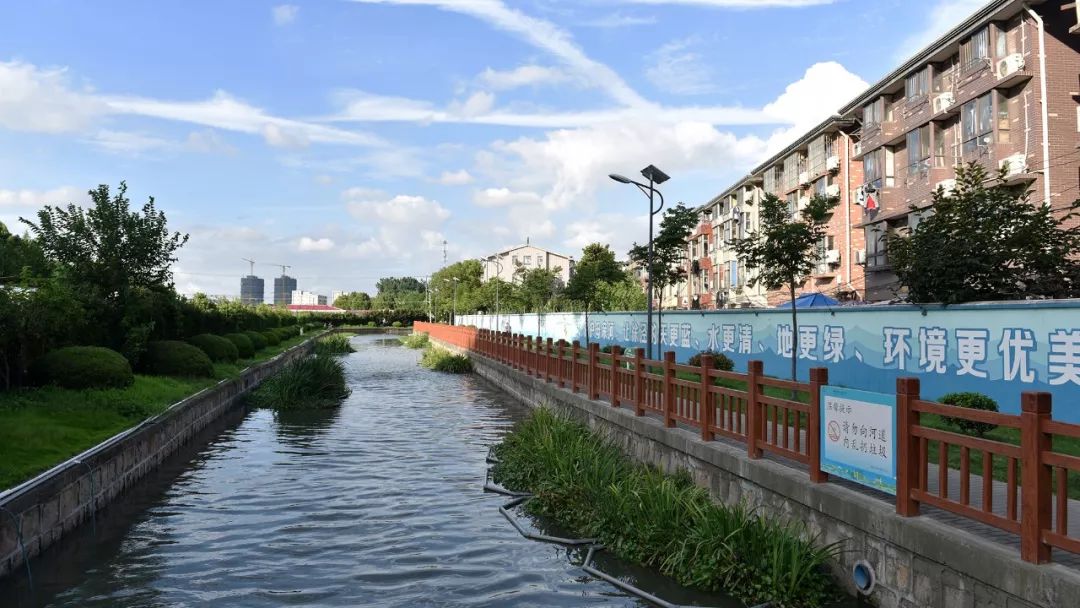 【图说】徐泾水环境“成绩单”出炉，一组图片眼见为实