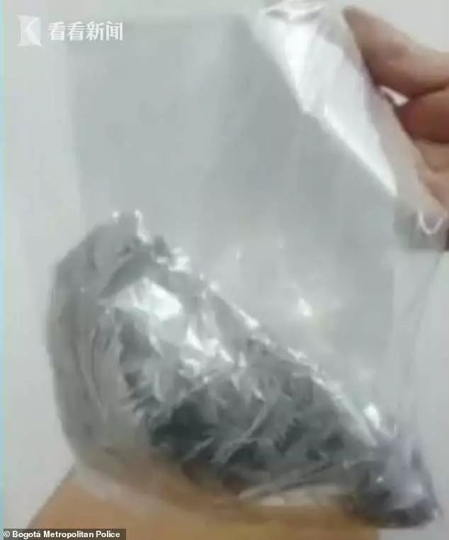 女子藏毒运毒被抓,女子运毒藏毒案