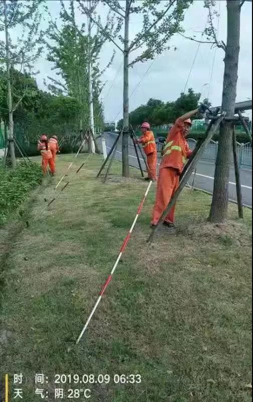 利奇马消息,利奇马台风还能到日照不