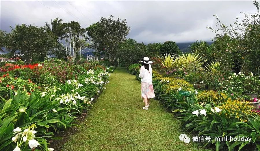 亲历|火山海龟岛屿，盼来武汉直航！“5小时飞行+落地签”身临奇境「398」