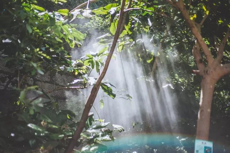 厦门网红景点拍照技巧,厦门金沙湾婚纱摄影基地拍照好看