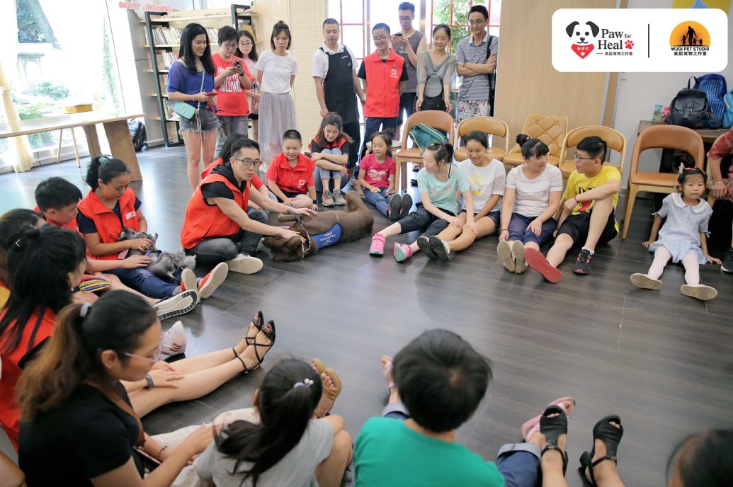 用生命影响生命朗诵央视,用生命影响生命手语朗诵