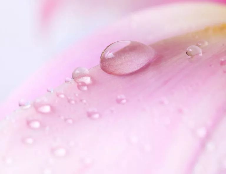 法国花水怎么样,法国花水