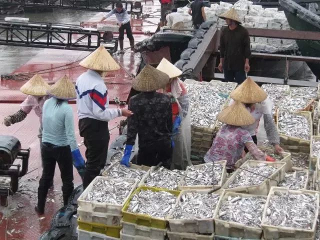 提醒吃海鲜的人们,广西开海节吃海鲜