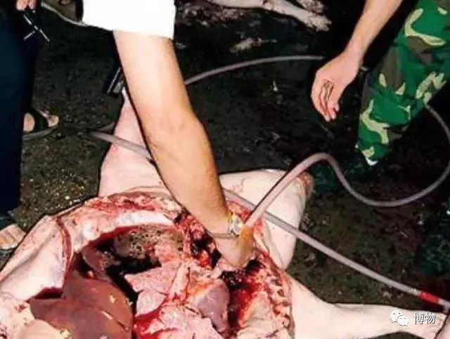 喝凉水都长肉,喝凉水都长肉原来是它惹的祸