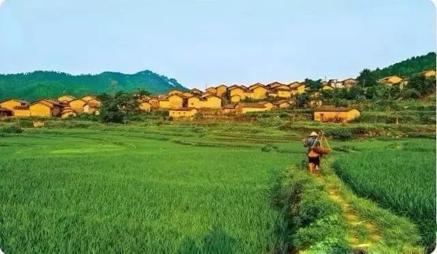 上林旅游打卡地,上林游玩景点推荐