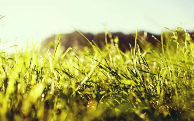 尼康d700拍照讲解,从小木匠到大画家