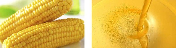 食用油的这些秘密大多数人不知道,食用油中的隐患你知道多少