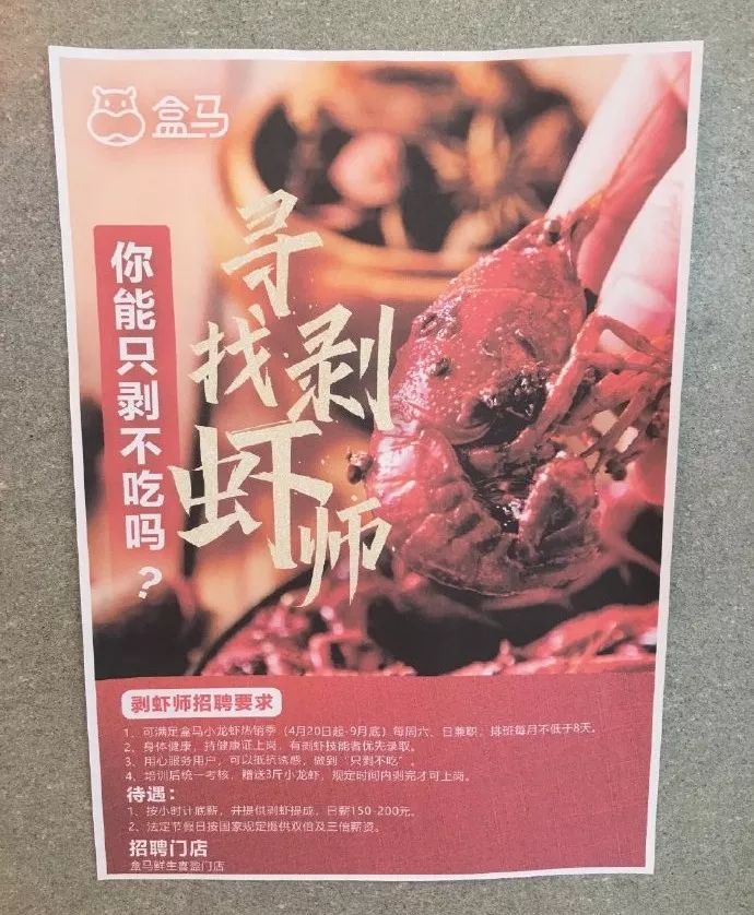 遛狗师一年的工资,遛狗师可以月入过万