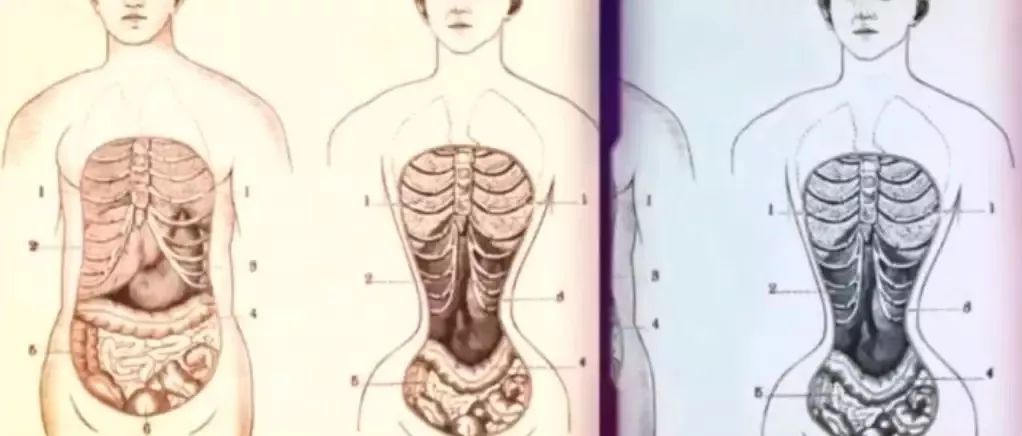 瘦腰神器对身体有害吗,瘦腰神器是真的有效果吗