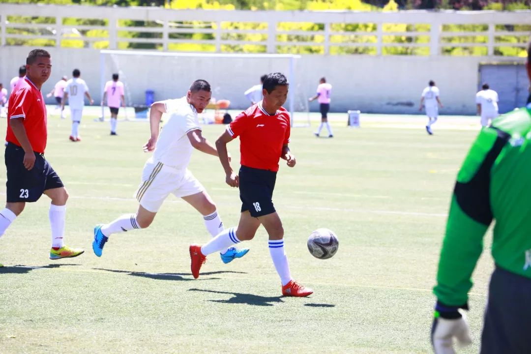 捷报足球比分旧版,捷报足球比分直播新版