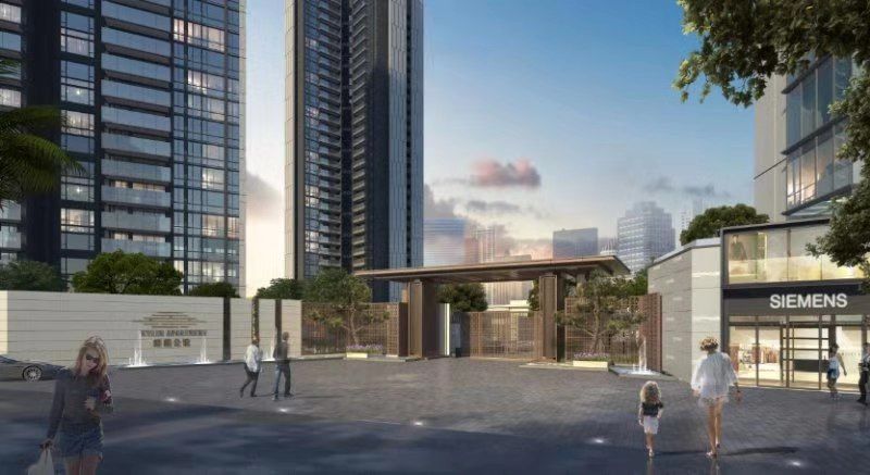 你为什么错过深圳湾,错过深圳