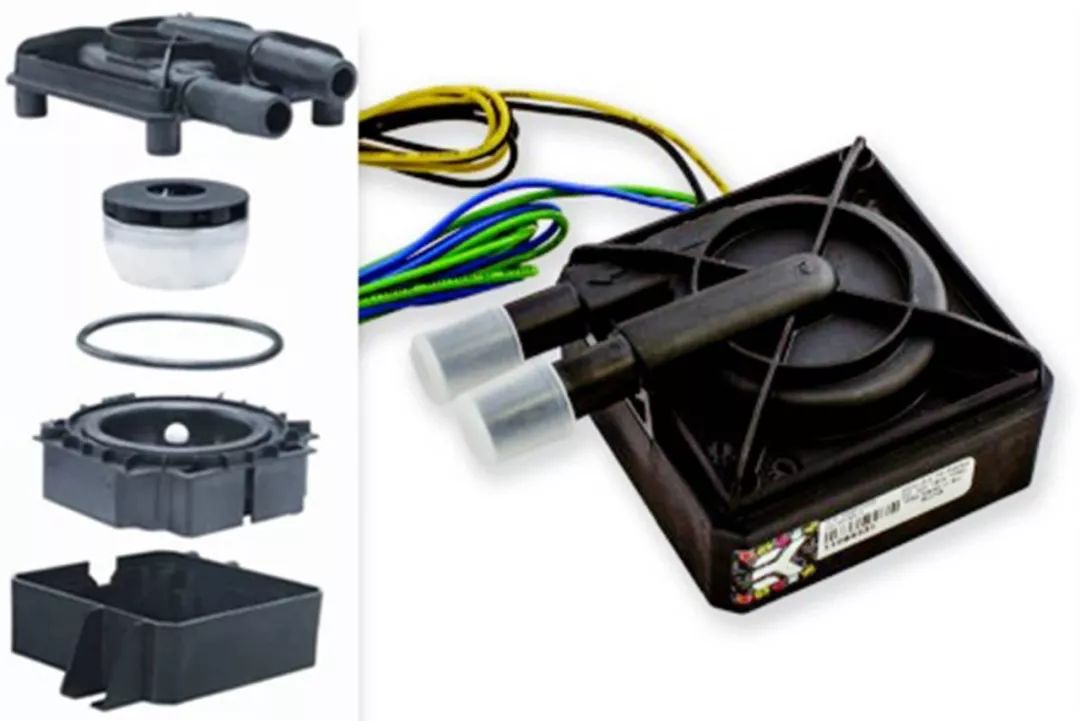 今日的小科普,今日科普小知识大全