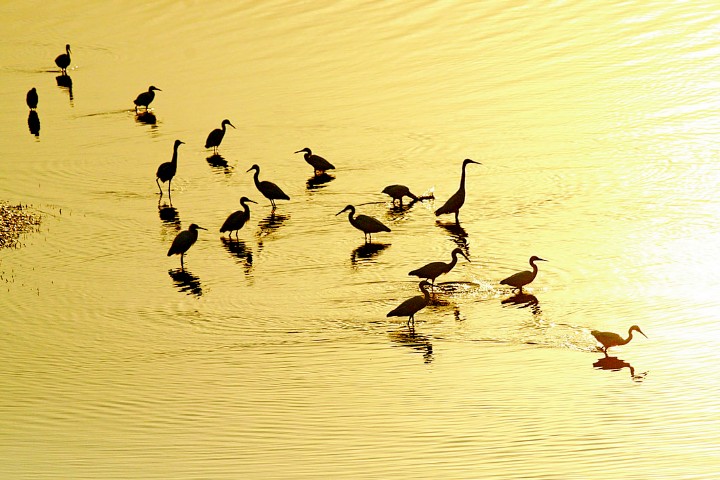当涂县百强县,中国百强县第一名当涂县