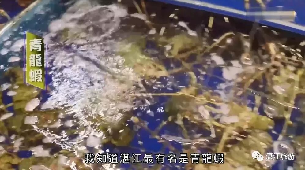 香港tvb经典打卡,香港湛江海鲜