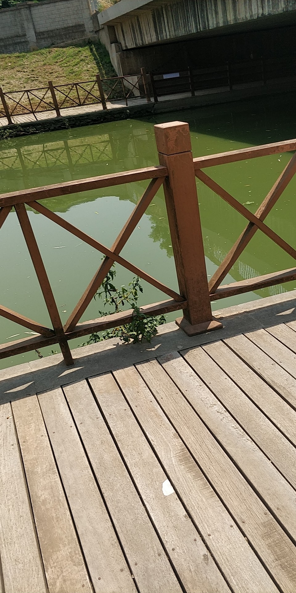 周五钓鱼攻略,周五垂钓