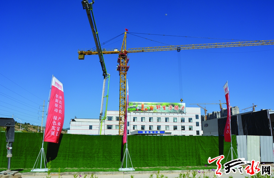 天水兆达核桃巧克力项目建设见闻