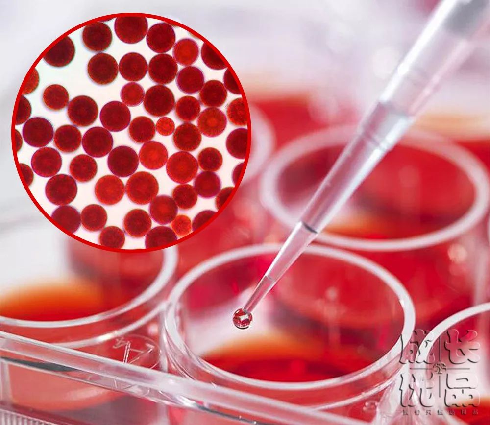 用它洗脸，脏东西自己浮出来，比做10次面膜还管用！丨开团