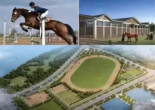 武汉军运会最全场馆,武汉军运会主场馆