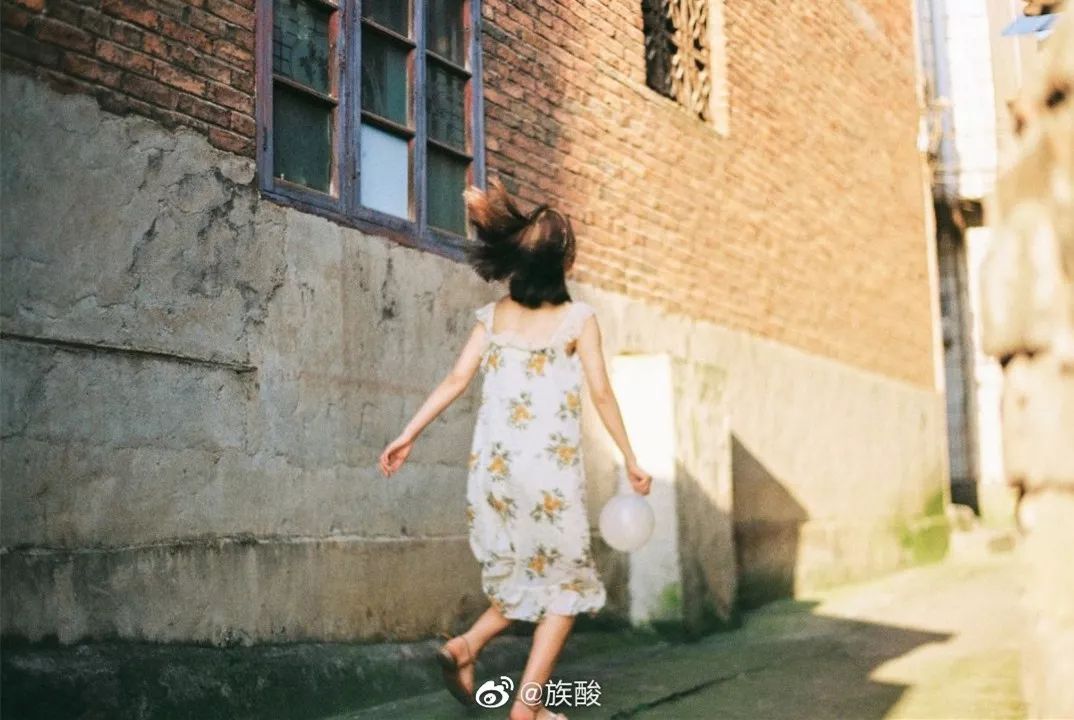 新手入坑相机录像,谈谈入坑的几台胶片机