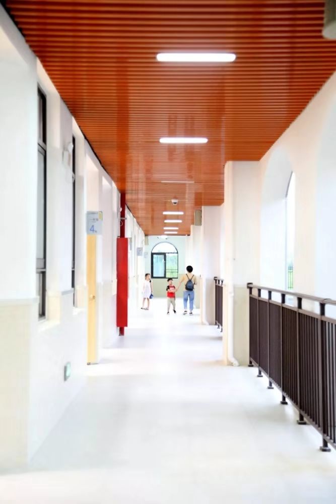 金山学校建设,金山新建学校