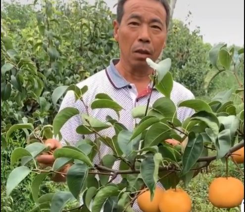 官宣！马云来郑州，要干这些事；警方悬赏50000元，看见他请报警丨大河早新闻（语音版）