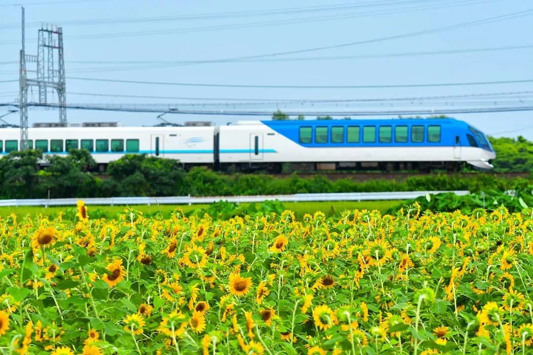 日本10条最好看电车线路,日本特急电车