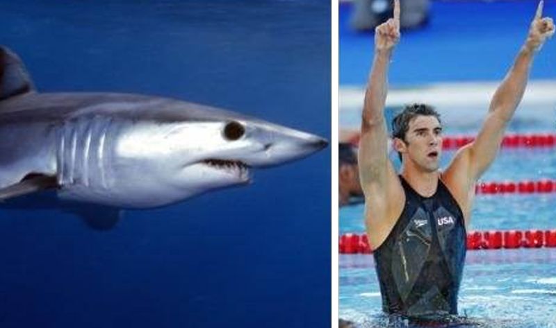 这款鞋！让整条街的回头率都归你！舒服的如同踩棉花！帅到不像实力派