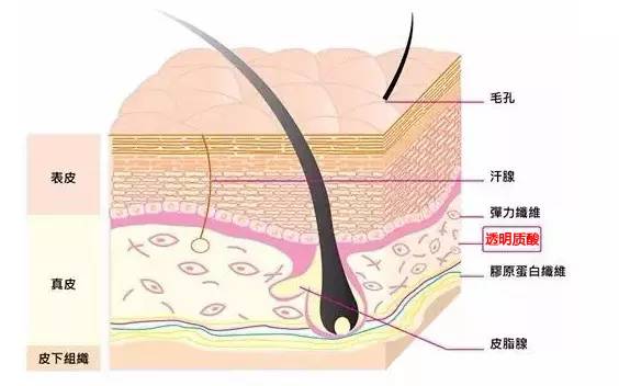 激荡三十年,激荡三十年解读
