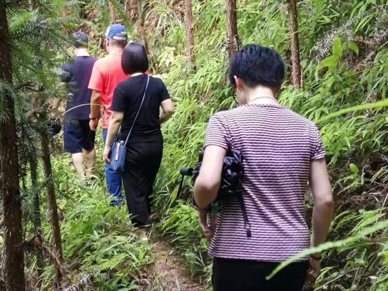 老年人如何防止骨关节炎,老人注意有些危险动作不宜做