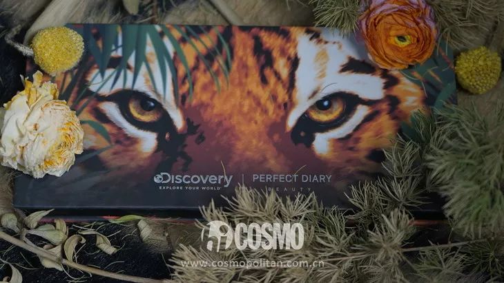 美人计|龙妈竟然用中国眼影化妆?等不及看外国代购来中国买买买了